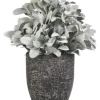 Lamb'S Ear Arrangement In Textured Black Planter-Kirkland's Home Clearance