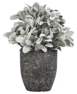 Lamb'S Ear Arrangement In Textured Black Planter-Kirkland's Home Clearance