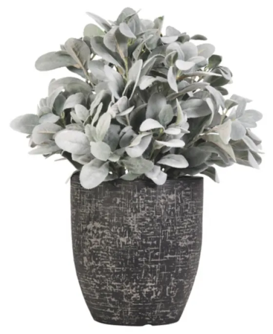 Lamb'S Ear Arrangement In Textured Black Planter-Kirkland's Home Clearance