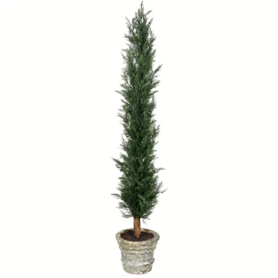 Large Cedar Tree In Mossy White Planter, 60 In.-Kirkland's Home Outlet