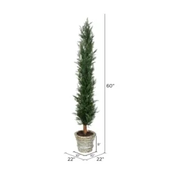 Large Cedar Tree In Mossy White Planter, 60 In.-Kirkland's Home Outlet