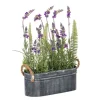 Lavender And Fern Arrangement In Iron Pot, 16 In.-Kirkland's Home Hot