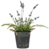 Lavender And Fern Arrangement In Iron Pot, 18 In.-Kirkland's Home Outlet