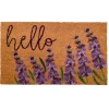 Lavender Hello Doormat-Kirkland's Home Cheap