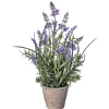 Lavender Plant In Speckled Cement Planter-Kirkland's Home Fashion