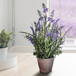 Lavender Plant In Speckled Cement Planter-Kirkland's Home Fashion