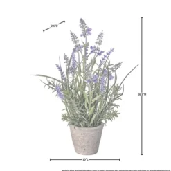 Lavender Plant In Speckled Cement Planter-Kirkland's Home Fashion