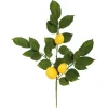 Lemon Leaf Spray Stems, Set Of 4-Kirkland's Home Cheap
