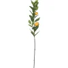 Lemon Tree Branch Stem Spray, 48 In.-Kirkland's Home Store