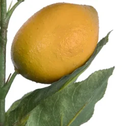 Lemon Tree Branch Stem Spray, 48 In.-Kirkland's Home Store