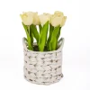 Light Tulip Arrangement In Basket-Kirkland's Home Best