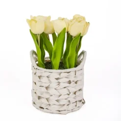 Light Tulip Arrangement In Basket-Kirkland's Home Best