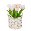 Light Tulip Arrangement In Basket-Kirkland's Home New