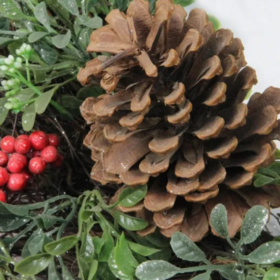 Lightly Frosted Cedar And Red Berry Wreath-Kirkland's Home Fashion