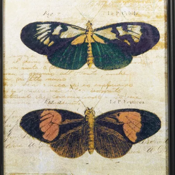 Literary Butterflies Framed Art Prints, Set Of 2-Kirkland's Home Best Sale