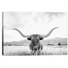 Longhorn Giclee Canvas Art Print-Kirkland's Home Cheap
