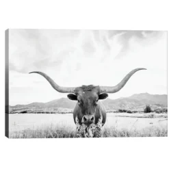 Longhorn Giclee Canvas Art Print-Kirkland's Home Cheap