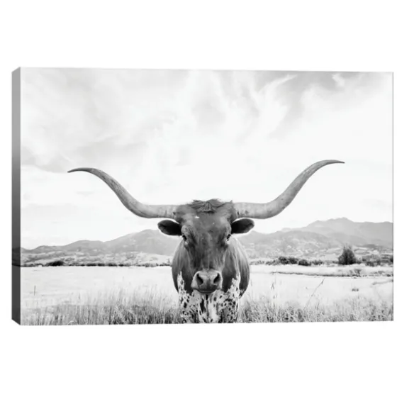 Longhorn Giclee Canvas Art Print-Kirkland's Home Cheap
