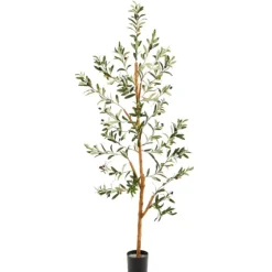 Lucky Olive Tree In Nursery Planter, 54 In.-Kirkland's Home Discount
