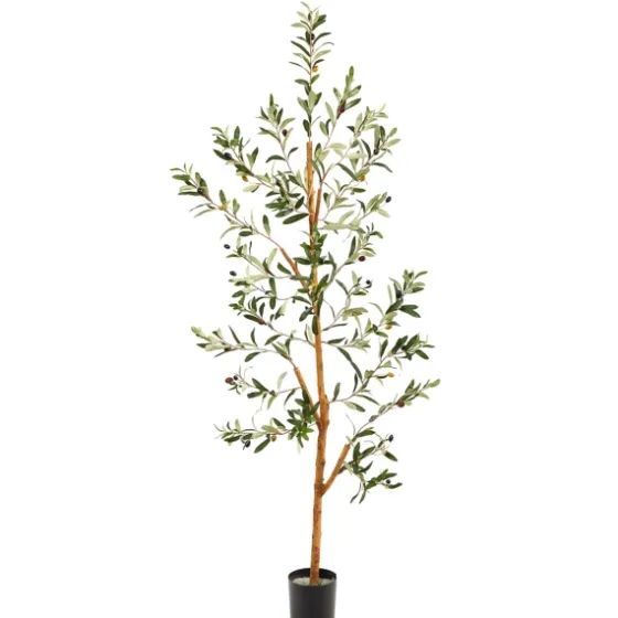 Lucky Olive Tree In Nursery Planter, 54 In.-Kirkland's Home Discount