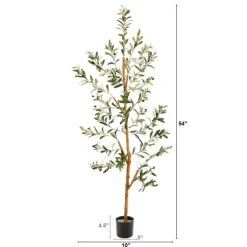 Lucky Olive Tree In Nursery Planter, 54 In.-Kirkland's Home Discount