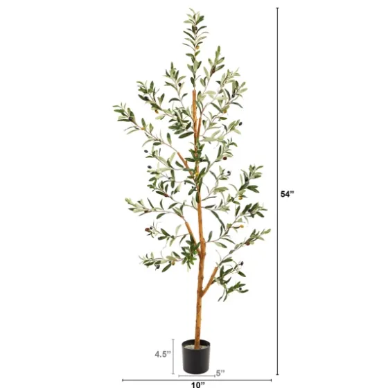 Lucky Olive Tree In Nursery Planter, 54 In.-Kirkland's Home Discount