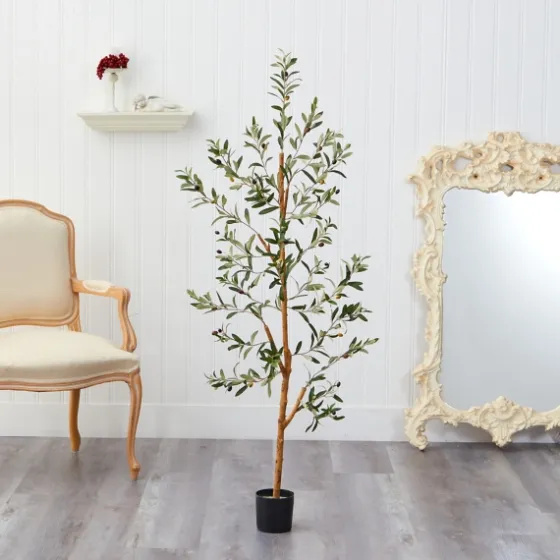 Lucky Olive Tree In Nursery Planter, 54 In.-Kirkland's Home Discount