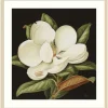 Magnolia Grandflora Framed Art Print-Kirkland's Home Best Sale