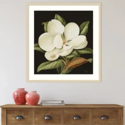 Magnolia Grandflora Framed Art Print-Kirkland's Home Best Sale