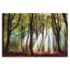 Majestic Morning Giclee Canvas Art Print-Kirkland's Home Clearance