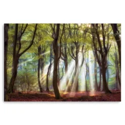 Majestic Morning Giclee Canvas Art Print-Kirkland's Home Clearance