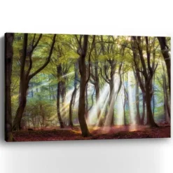 Majestic Morning Giclee Canvas Art Print-Kirkland's Home Clearance