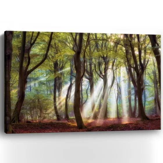 Majestic Morning Giclee Canvas Art Print-Kirkland's Home Clearance