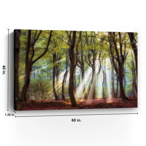 Majestic Morning Giclee Canvas Art Print-Kirkland's Home Clearance