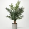 Majestic Palm Tree In Gray Planter-Kirkland's Home Discount