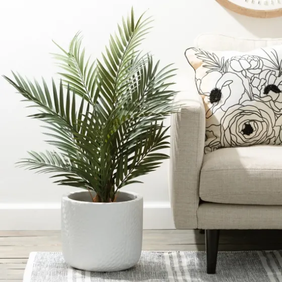 Majestic Palm Tree In Gray Planter-Kirkland's Home Discount
