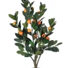 Mandarin Orange Tree In Black Planter-Kirkland's Home Cheap