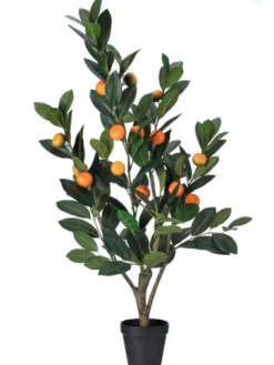 Mandarin Orange Tree In Black Planter-Kirkland's Home Cheap