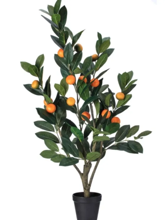 Mandarin Orange Tree In Black Planter-Kirkland's Home Cheap