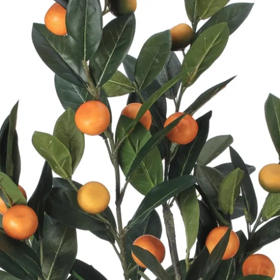 Mandarin Orange Tree In Black Planter-Kirkland's Home Cheap