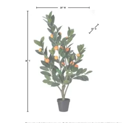 Mandarin Orange Tree In Black Planter-Kirkland's Home Cheap