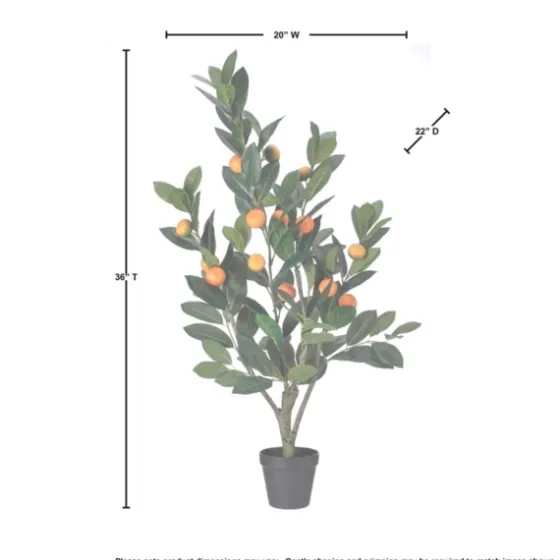 Mandarin Orange Tree In Black Planter-Kirkland's Home Cheap