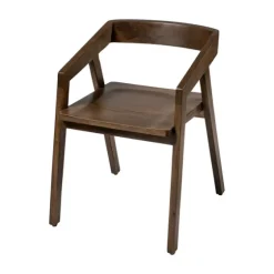 Mango Wood Dining Chair-Kirkland's Home Hot