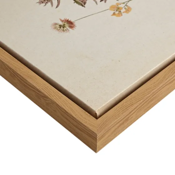 Martha Stewart French Herbarium Framed Art Set-Kirkland's Home Cheap