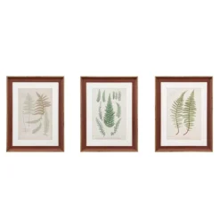 Martha Stewart Lady Fern Framed Art Print Set-Kirkland's Home Sale