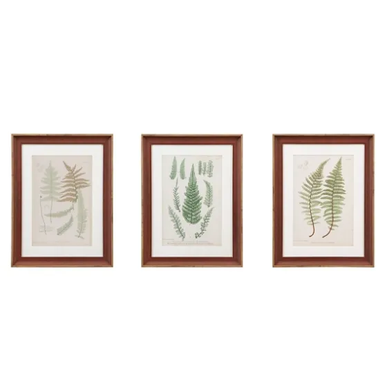 Martha Stewart Lady Fern Framed Art Print Set-Kirkland's Home Sale