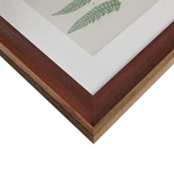 Martha Stewart Lady Fern Framed Art Print Set-Kirkland's Home Sale