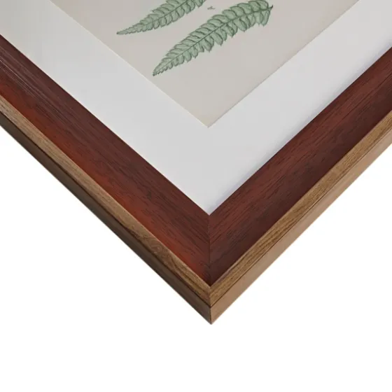 Martha Stewart Lady Fern Framed Art Print Set-Kirkland's Home Sale