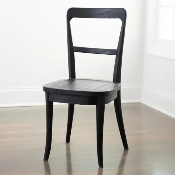 Martin Dining Chair-Kirkland's Home Flash Sale
