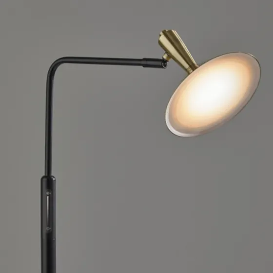 Matte Black Adjustable Light And Color Floor Lamp-Kirkland's Home Clearance